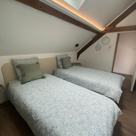 T3 Kokon Lumineux & Chaleureux, Parking, Climatisation Apartment Bagneres-de-Bigorre Luaran gambar