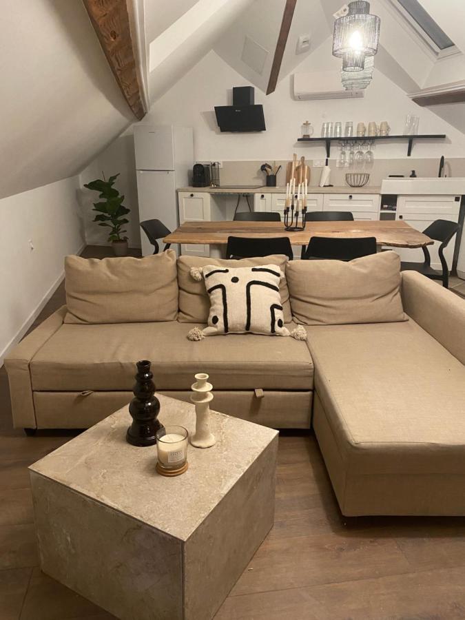 T3 Kokon Lumineux & Chaleureux, Parking, Climatisation Apartment Bagneres-de-Bigorre Luaran gambar